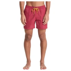 Bañadores Quiksilver Everyday Volley 15