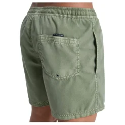 Bañadores Quiksilver Everyday Surfwash Volley 15