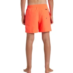Bañadores Quiksilver Everyday Solid Volley Yth 14