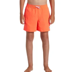 Bañadores Quiksilver Everyday Solid Volley Yth 14