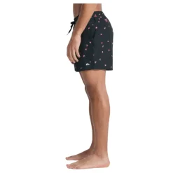 Bañadores Quiksilver Everyday Printed Volley 15