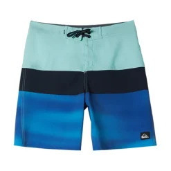 Bañadores Quiksilver Everyday Panel Yth 17