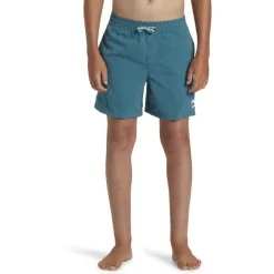 Bañadores Quiksilver Everyday Solid Volley Yth 14