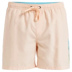 Bañadores Quiksilver Spl Fineline Volley 15