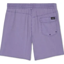 Bañadores Volcom Center Trunk 17