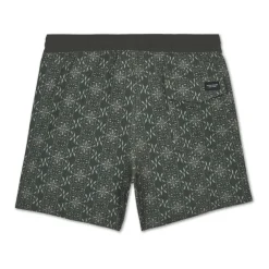 Bañadores Volcom Lido Print Trunk 16
