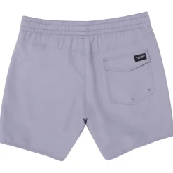 Bañadores Volcom Lido Solid Trunk 16