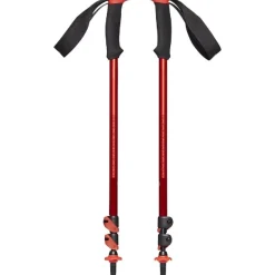 Bastones Black diamond Trail Sport Trek Poles