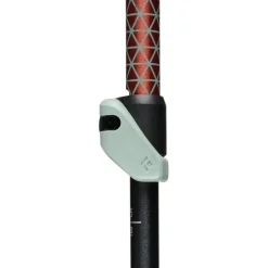 Bastones Black diamond Trail Trekking Poles