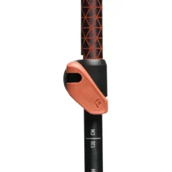 Bastones Black diamond Trail Cork Trekking Poles