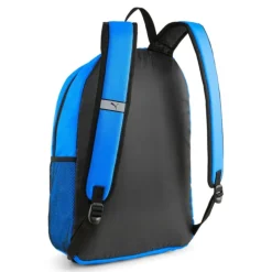 Bolsas y mochilas Puma Teamgoal Backpack