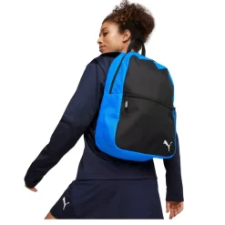 Bolsas y mochilas Puma Teamgoal Backpack