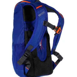 Bolsas y mochilas Regatta Blackfell Iii Nano