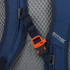 Bolsas y mochilas Regatta HIghton v2 20L