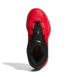 Calzado básquet Adidas Dame X J