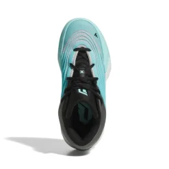 Calzado básquet Adidas Dame X J