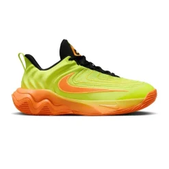 Calzado básquet Nike Giannis Immortality 4 (Gs)