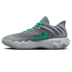 Calzado básquet Nike Giannis Immortality 4