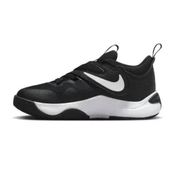 Calzado básquet Nike Team Hustle D 11 (Ps)