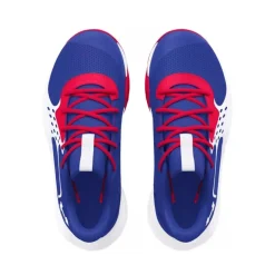 Calzado básquet Under armour UA GS Jet 23