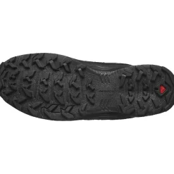 Calzado montaña Salomon X Braze GTX M