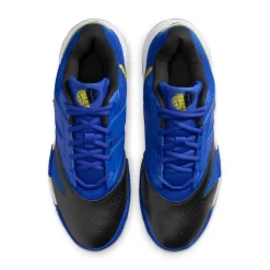 Calzado tenis y pádel Nike M Nike Court Lite 4 Cly