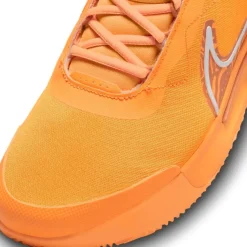 Calzado tenis y pádel Nike M Nike Zoom Court Pro Cly