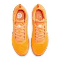 Calzado tenis y pádel Nike M Nike Zoom Court Pro Cly