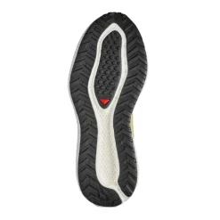 Calzado trail running Salomon Aero Glide 4 Grvl