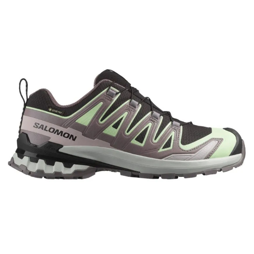 Calzado trail running Salomon Xa Pro 3D V9 Gtx W