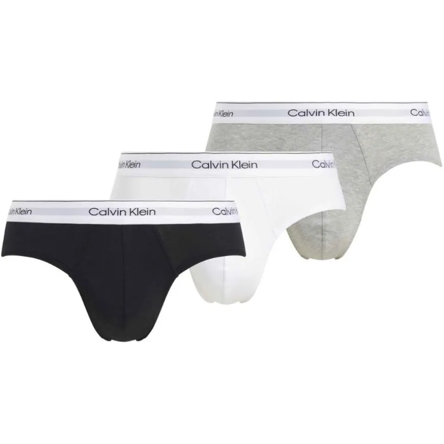 Calzoncillos Calvin klein HIP BRIEF 3PK