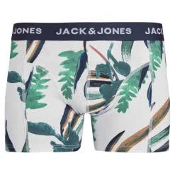 Calzoncillos Jack & jones Jaclouis Trunk Sn