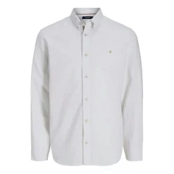 Camisas manga larga Jack & jones Jprblusummer Linen Bl Shield Ls Shirt Ln