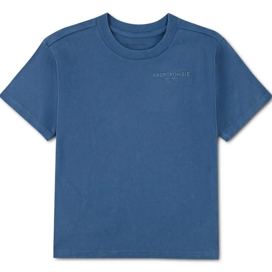 Camisetas manga corta Abercrombie Afb Sunfaded Knit Top