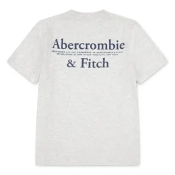 Camisetas manga corta Abercrombie Afb Foothills Tee