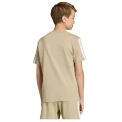 Camisetas manga corta Adidas J 3S Tee 160