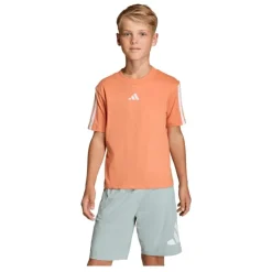 Camisetas manga corta Adidas J 3S Tee 160