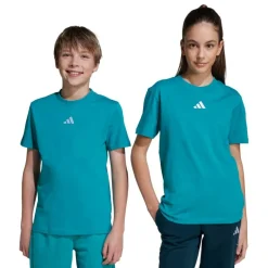 Camisetas manga corta Adidas J Sl Tee 160