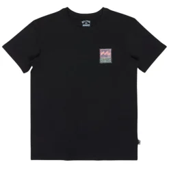Camisetas manga corta Billabong Stamp Ss