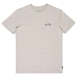 Camisetas manga corta Billabong Arch Wave Ss SMU