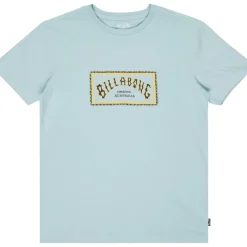 Camisetas manga corta Billabong Arch Frame Ss SMU