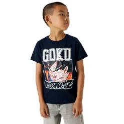Camisetas manga corta Name-it N.U. Nkmdrue Dragonb Nreg Ss Top Box Noos Vde