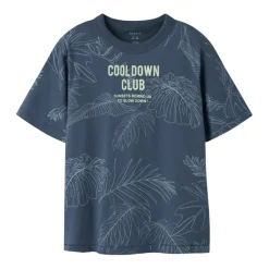 Camisetas manga corta Name-it Nkmferto Ss Nreg Top Box