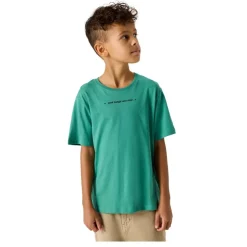 Camisetas manga corta Name-it Nkmbenno Ss Nreg Top Box Pb