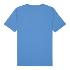 Camisetas manga corta Quiksilver Ev Corpo Classic Youth