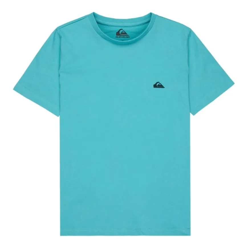 Camisetas manga corta Quiksilver Basic Ss Tee Youth Promo Tee