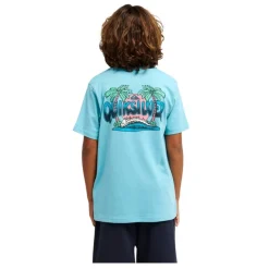 Camisetas manga corta Quiksilver Palm Horizon Ss
