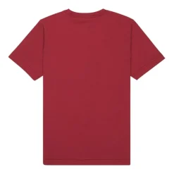 Camisetas manga corta Quiksilver Ev Comp Logo Ss Youth