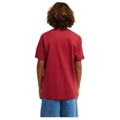Camisetas manga corta Quiksilver Ev Comp Logo Ss Youth
