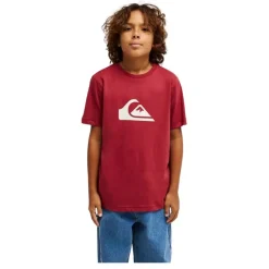 Camisetas manga corta Quiksilver Ev Comp Logo Ss Youth